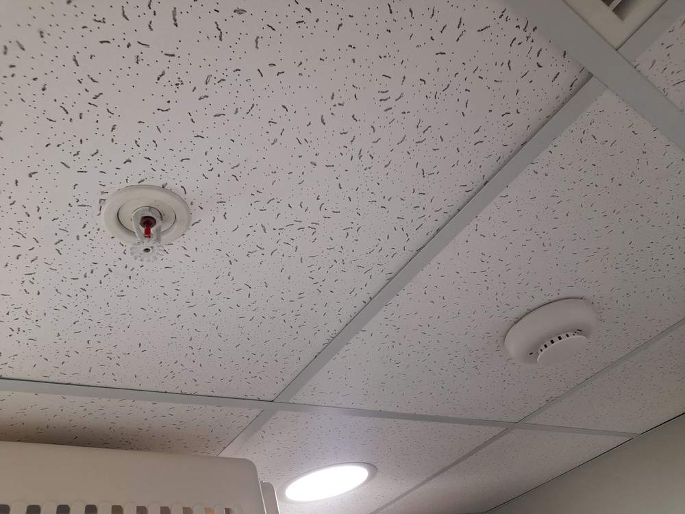 Pet Happy Mall Arauco Maipú